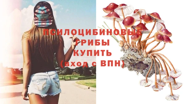 соль ск Абаза
