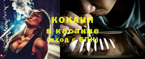 соль ск Абаза